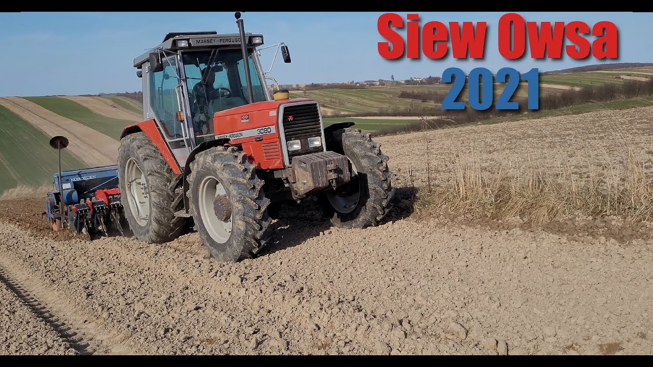 Siew owsa z NOWYMI NABYTKAMI | MF 3080 | JANPOL | NORDSTEN | LANDINI |