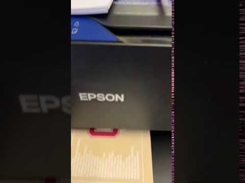 Borderless Printing on an Epson