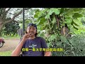 川普说：中国操控了2020年美国大选！OK，然后呢？