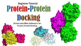 Protein - Protein Docking Beginner Tutorial screenshot 3