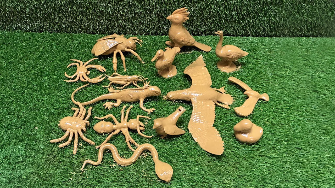 Небесный отряд против ползучих тварей: Чудесный мир удивительных птиц и насекомых🐦