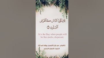 سورة القارعة - أحمد بن طالب بن حميد - مترجم - حالة واتس