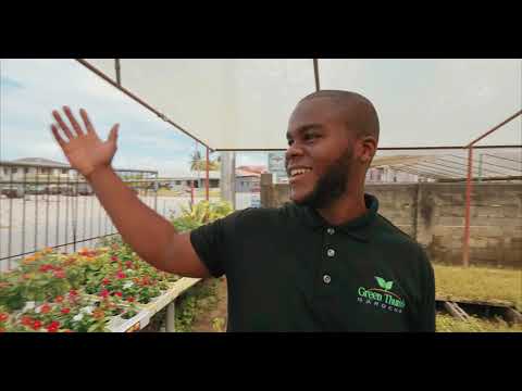 Video: Dārzkopības karjera: interesanti darbi cilvēkiem ar zaļiem īkšķiem