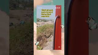 #trending#hearttouching#viralvideo#shortfeed#love #motivation #viralvideo #nature #music #travel