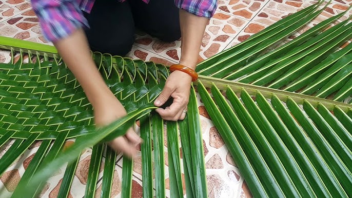 Detalle de la estera, tejida con paja de hoja de palma natural,  entrelazada, según la tradición indígena en Brasil Fotografía de stock -  Alamy