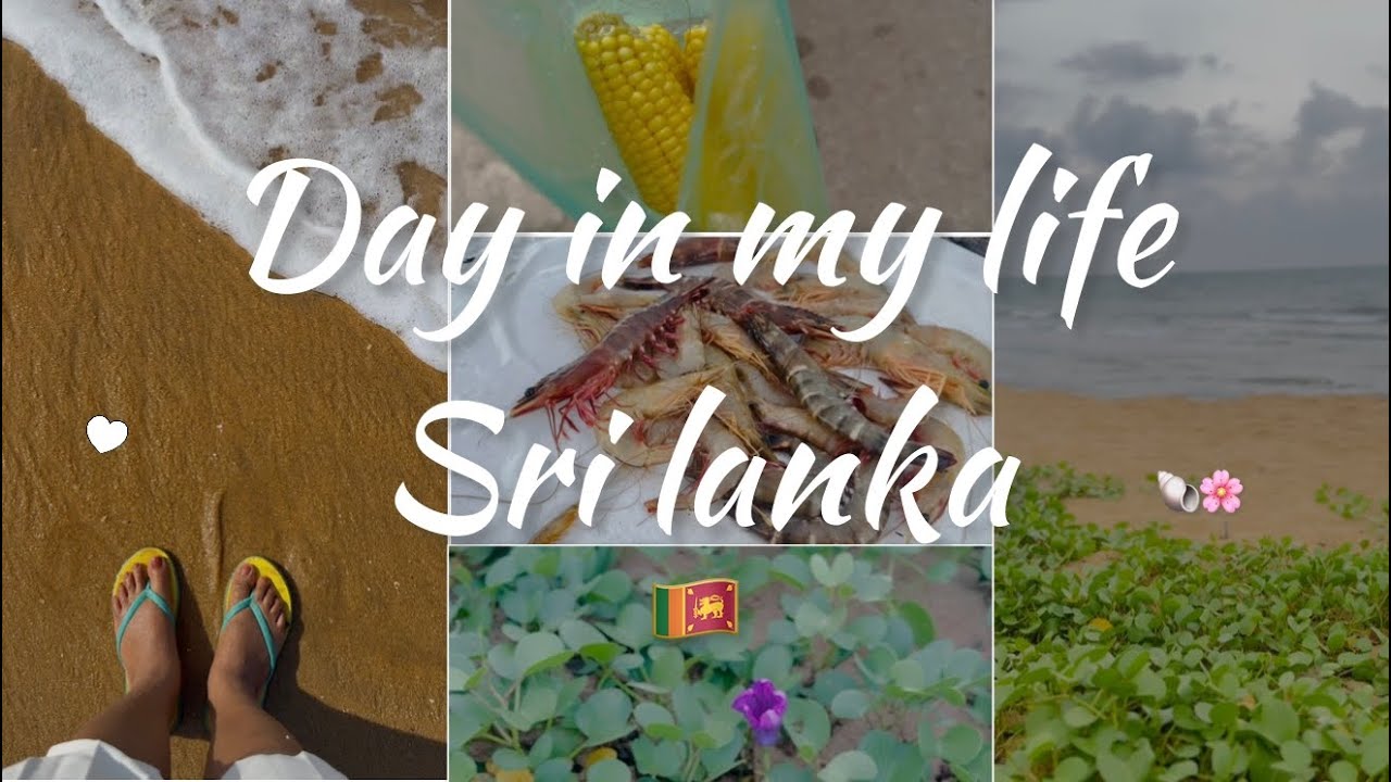 Beautiful village life,Slow living | 🐠Fish market in Sri lanka mini vlog #travel #srilanka #silent 