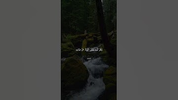 وَهُوَ ٱلَّذِی ی‍َ‍ق‍ۡ‍بَلُ ٱل‍‍تَّوۡبَةَ🌱| تلاوة هادئة ♥️😌 بصوت #إسلام_صبحي 🌻💛 ارح سمعك و قلبك 💙🎧