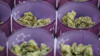 THC Design : Packaging