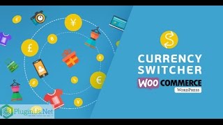 Woocommerce Currency Switcher - Working With Widgets