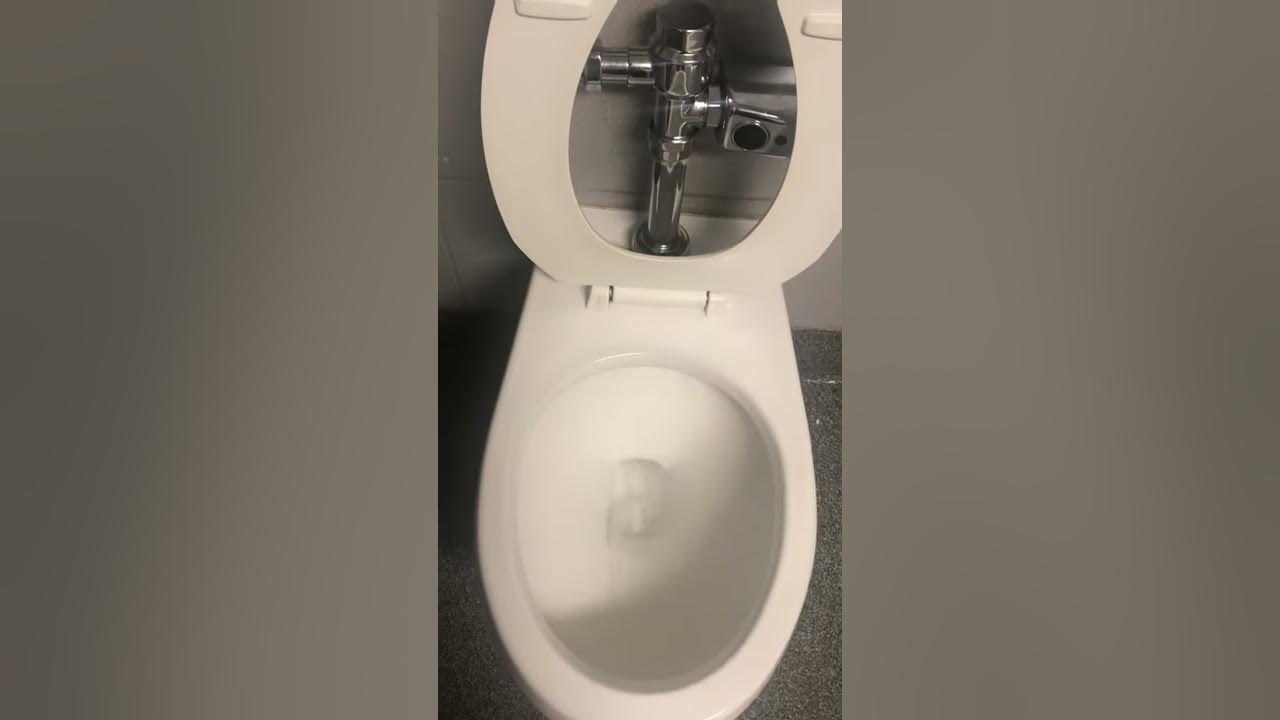 104. 2014 Zurn toilet at Costco YouTube