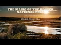 KRUGER NATIONAL PARK MAGIC - Punda Maria to Letaba | Ep 2