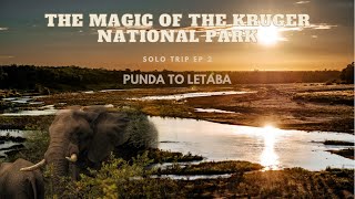 KRUGER NATIONAL PARK MAGIC - Punda Maria to Letaba | Ep 2 by Gunnland Explores 5,648 views 2 years ago 17 minutes