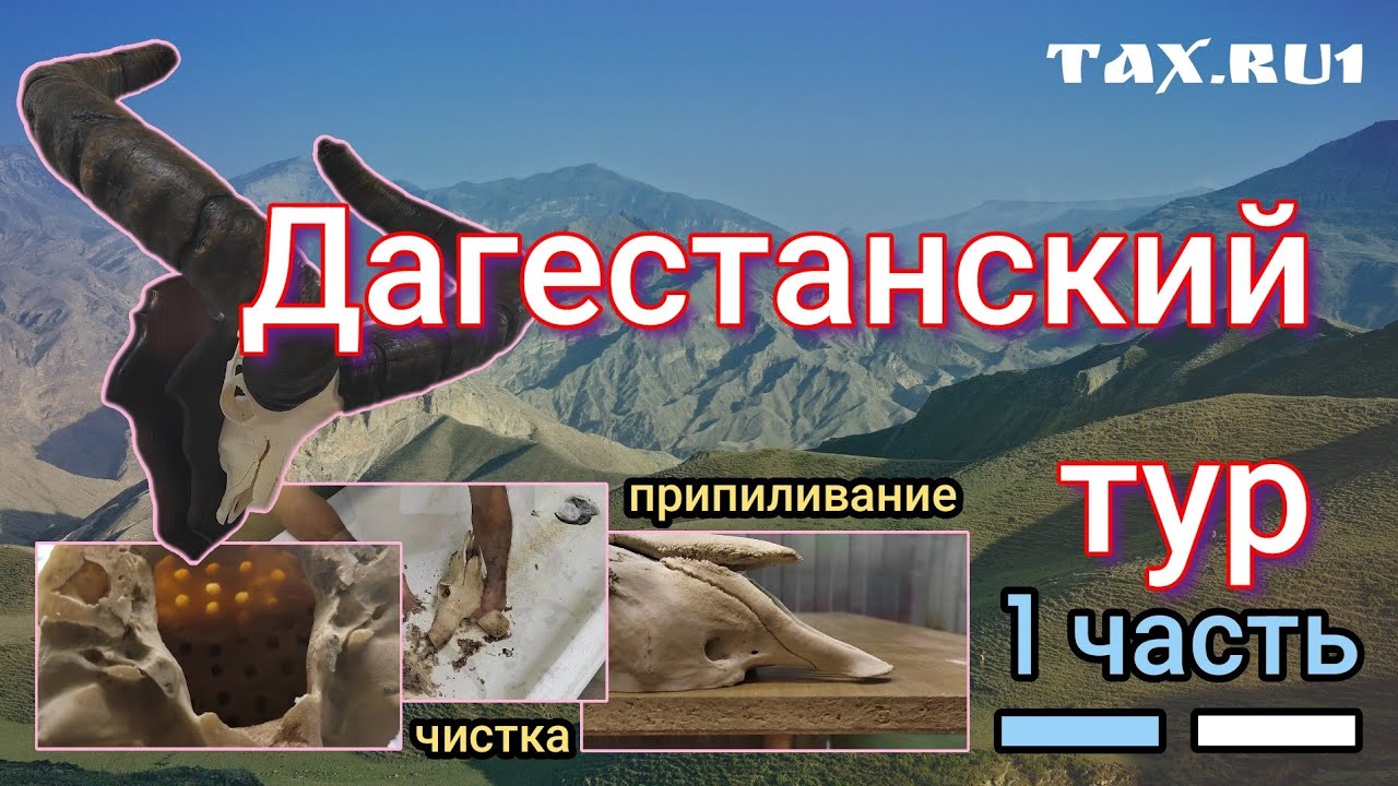 Дагестанский тур череп на медальоне 1 часть - YouTube