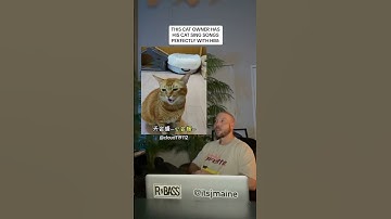 Thumbnail of This Cat Sings Songs With It’s Owner Perfectly #shorts #cat #cats #pet #pets #music