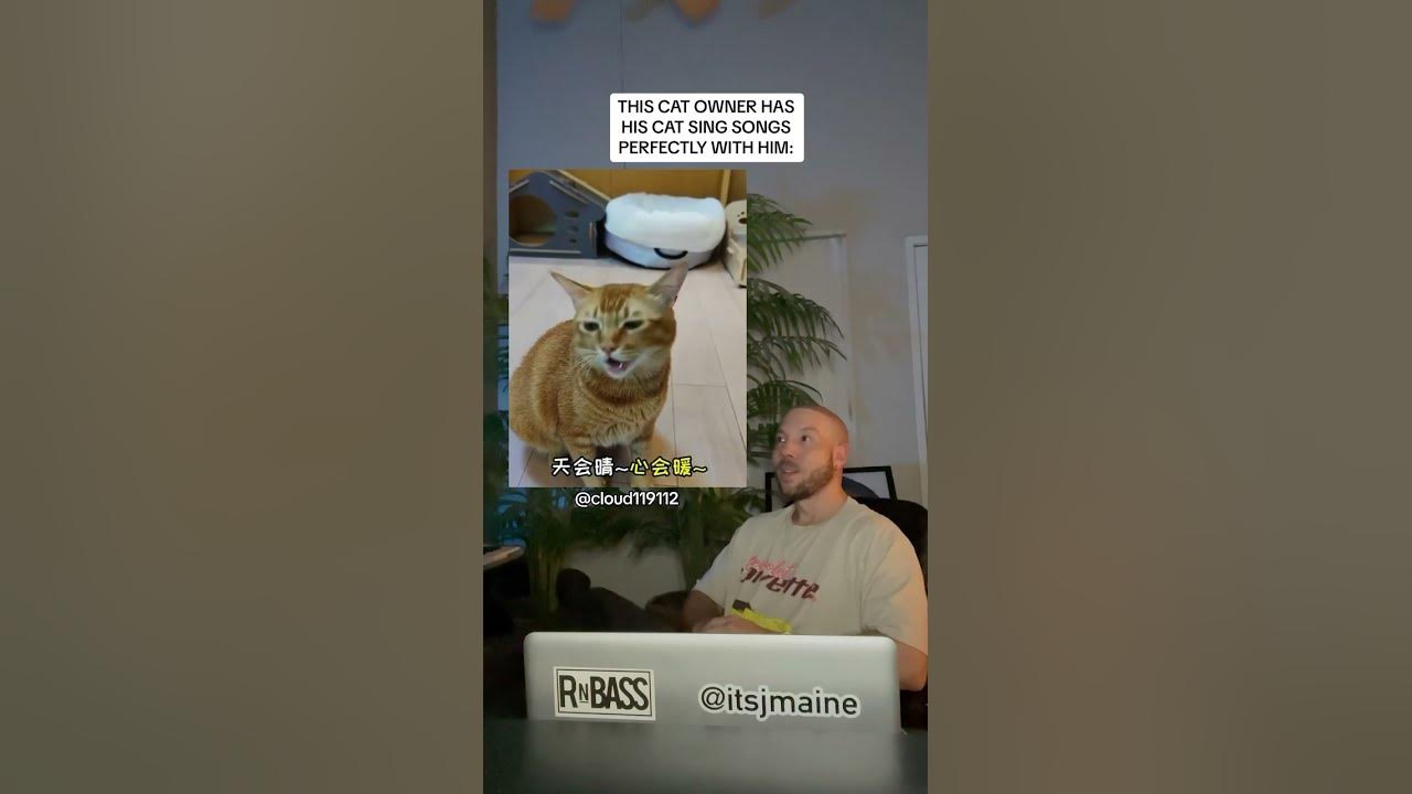This Cat Sings Songs With It’s Owner Perfectly #shorts #cat #cats #pet #pets #music This Cat Sings Songs With It’s Owner Perfectly #shorts #cat #cats #pet #pets #music