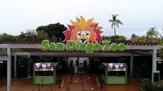 Visit the San Diego Zoo with Noah and Sara Wyle Details