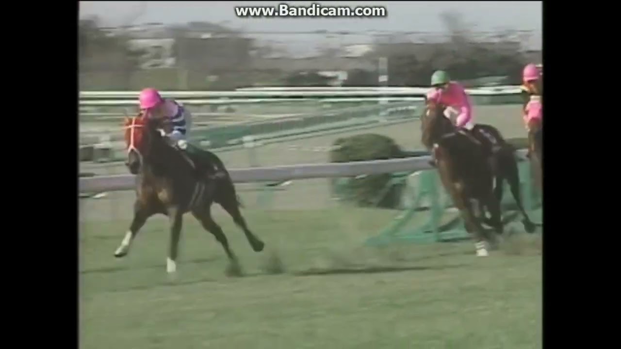 1994 スプリングS(GII) ナリタブライアン - YouTube