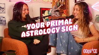 Your Primal Astrology Sign | Oddvice S4 EP. 46
Whats your Primal Astrology Sign? This week we sat down and discussed how we relate to our primal signs. We also give an update on our apartment hunts & where were at with our upcoming move!
Relief in Palestine 🤍 - https://manylink.co/@oddvicepodcast
🃏 order DECK O DECKS here! 🃏 - https://bicyclecards.com/shop/bicycle-oddvice-deck-o-decks
Exclusive Patreon episodes every Friday!: https://www.patreon.com/oddvicepodcast
Hosted by Kristen McAtee (@kristenmcatee) & Alex Koot (@alexkoot.jpg). Follow Oddvice on Instagram & Twitter (@oddvicepodcast). Your Primal Astrology Sign | Oddvice S4 EP. 46