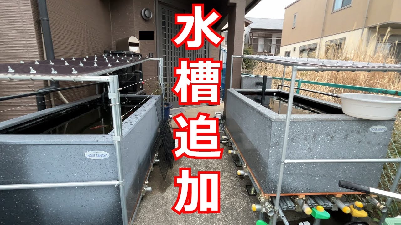 ついに2個目の1トン水槽をセッティングしました！ - YouTube