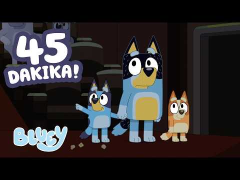 Sinema 🍿 ve Bluey ve Heelers ile 45 dakikalık eğlence 🥳💙 | Bluey Türkçe Resmi Kanal