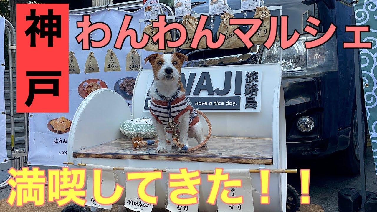 関西最大のわんわんマルシェに行ってきた