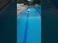 butterfly swimming #youtubeshorts #shorts #swimming #butterfly #trendingshorts #trend