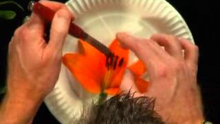 Virginia Farm Bureau - ABCs of Agriculture - Flower Dissection Lesson