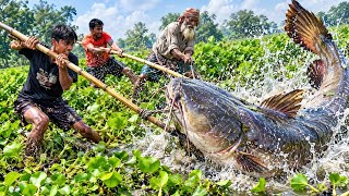 3 Fishermen vs. a Massive 200–300 KG Giant Catfish! | Extreme River Fishing