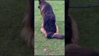 Satad Avelbal Ikram Choudhary Tajewala