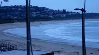 DSCI0156.AVI
