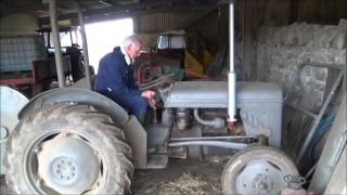 Sawing logs with a grey fergie TE20. Part 1