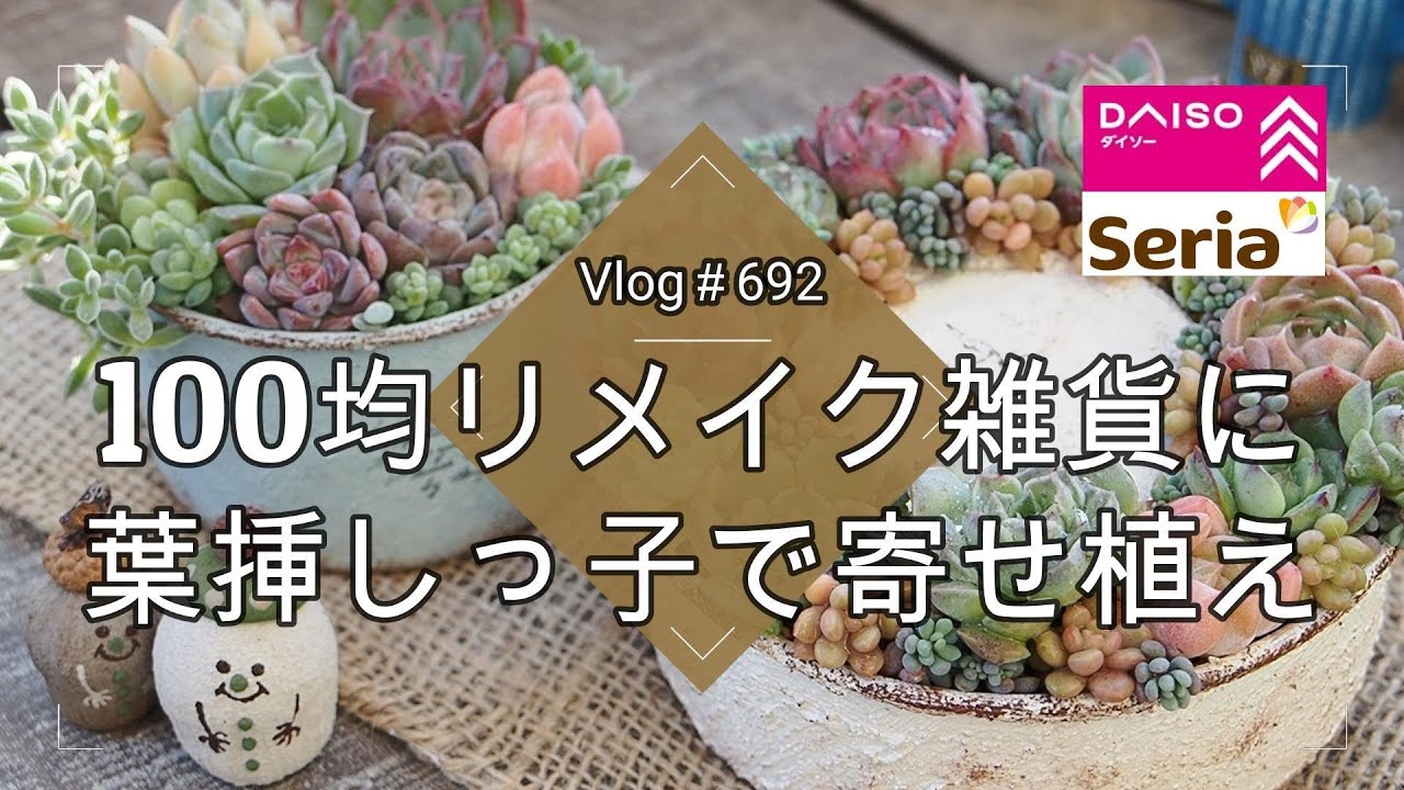 【Vlog692】【多肉植物】100均リメイク雑貨に葉挿しっ子で多肉寄せ植え【リメ缶リース】【セリア】