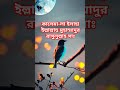 কালেমা-লা ইলাহা ইল্লাল্লাহু মুহাম্মাদুর রাসুলুল্লাহ সাঃ #shorts