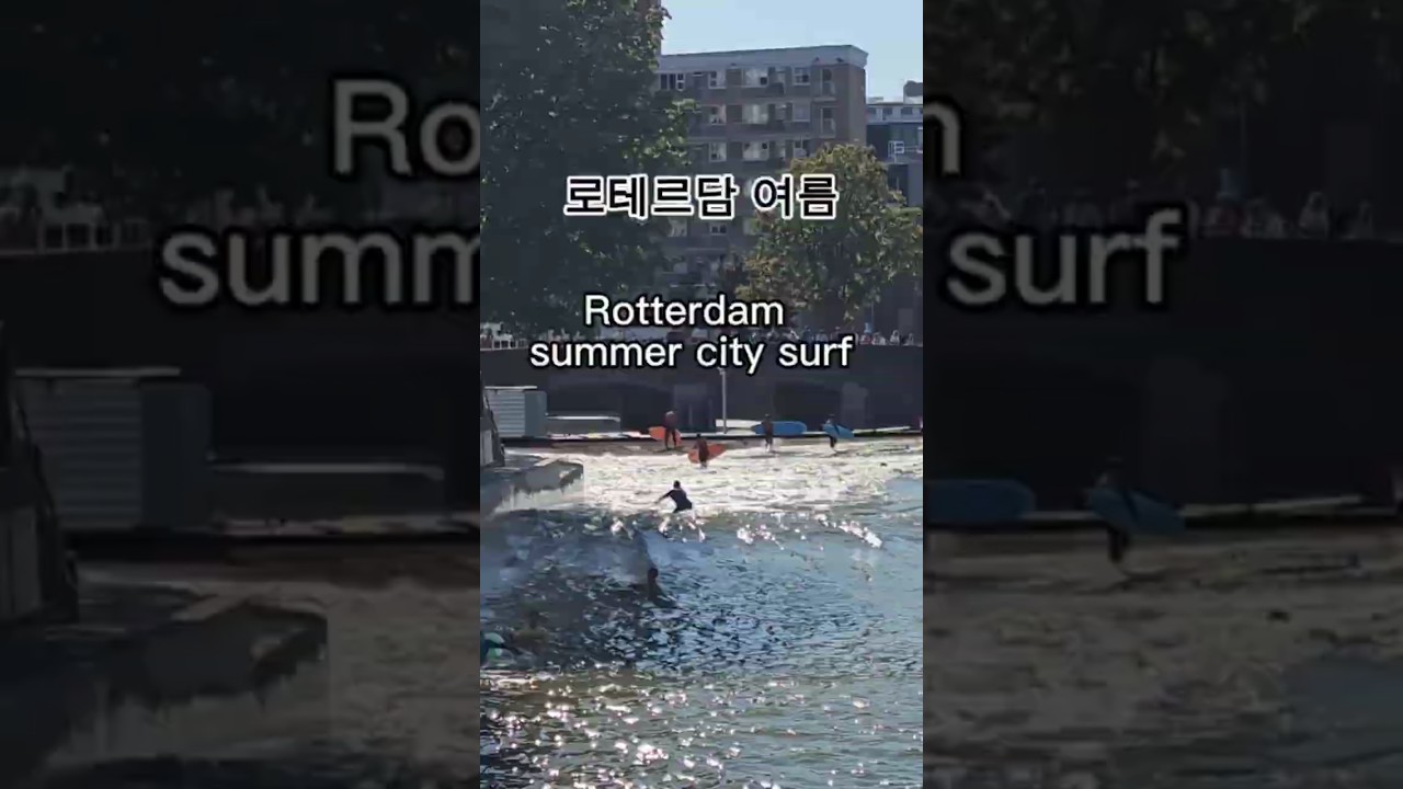 Summer in Rotterdam ☀️ Surfing   로테르담 여름 현대적인 건축물 사이를 달리는 시티서핑.