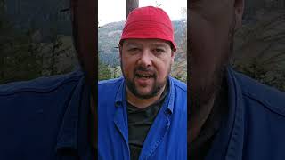 Hons Vs Timber Merchant