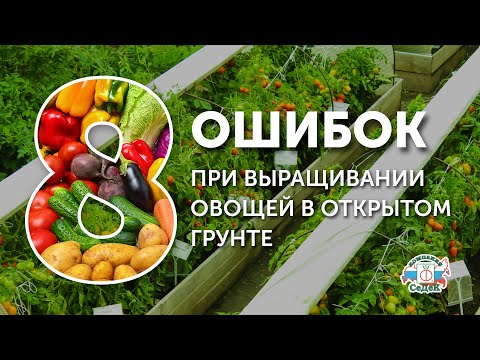 8 ОШИБОК И СЕКРЕТОВ ВЫРАЩИВАНИЯ ОВОЩЕЙ НА ВЫСОКИХ ГРЯДКАХ