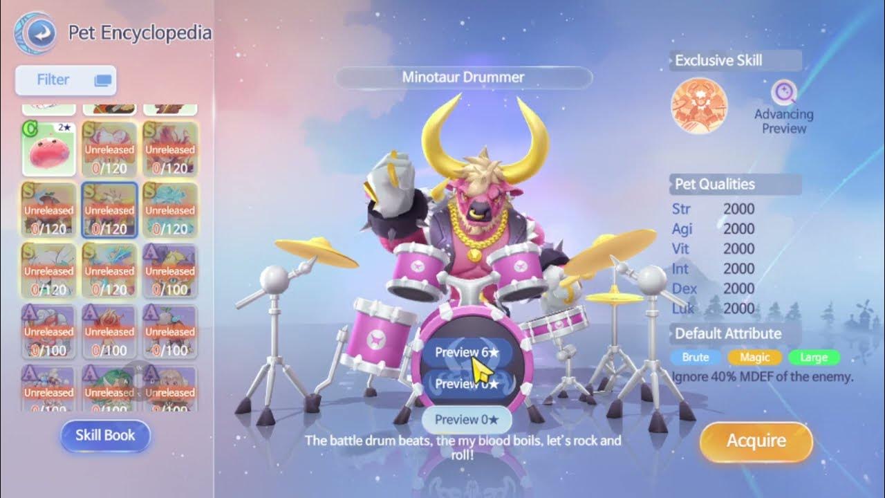 Ragnarok Origin Viewing Current Pets YouTube