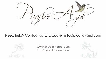 Easy Help Zen Cart Tutorial: How to Add Featured Products to the Main Page