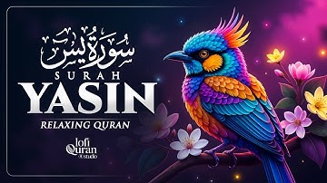 Surah Yaseen سورة يس | Majestic Lofi Quran for Peaceful Nights & Stress Relief #quranforsleep