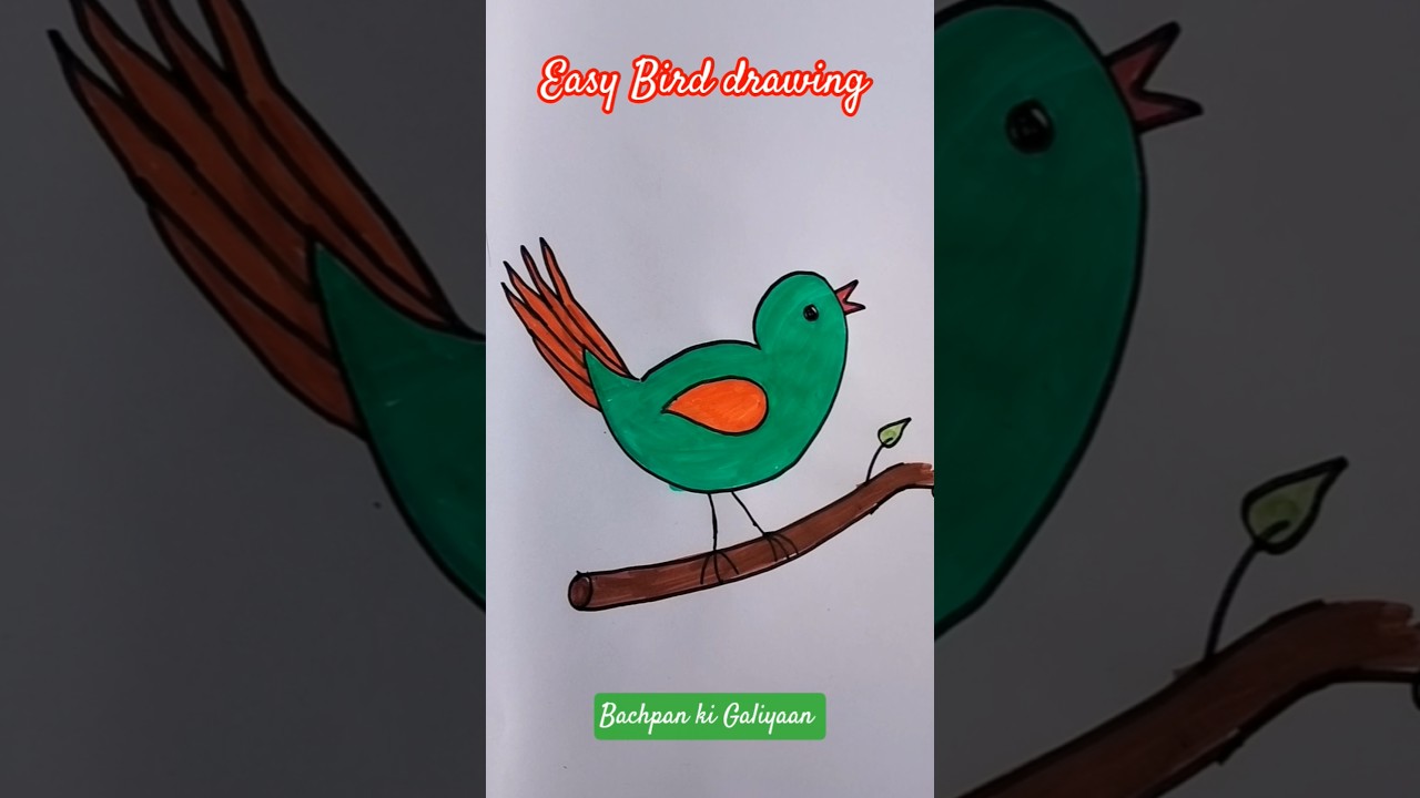 Easy Bird drawing 