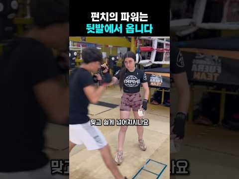 펀치의 파워는 뒷발에서 오는 이유 thumbnail
