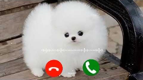 Notification Ringtone | Best message tone | Sms tone | sms Ringtone 2020360p @B4tunes 2.2