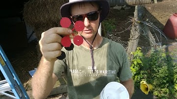 Installing A First Flush Diverter in a Rainwater Harvesting System