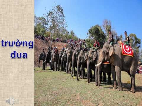 Lớp 3 - Tập đọc - Bài: Hội đua voi ở Tây Nguyên