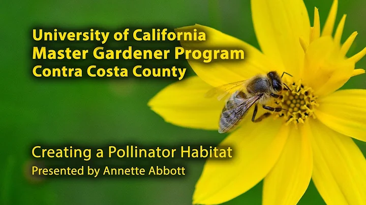 Pollinators
