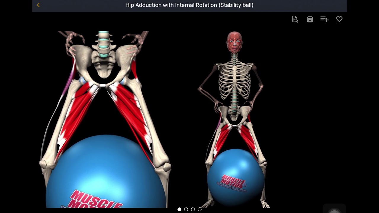 Hip Adduction with Internal Rotation - YouTube
