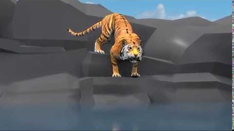 Tiger Locomotion by Rama Krishna Maccha