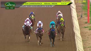 Hipódromo de Monterrico - Clásico Jockey Club de Arequipa - 8va. Carrera 13OCTUBRE18