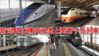 信越本線 新潟駅の構内風景とと発着する列車（2019.8.25他撮影）