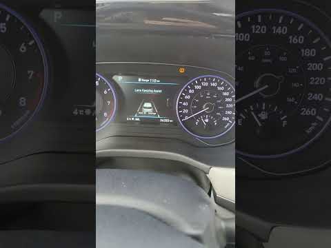 Система TPMS Palisade